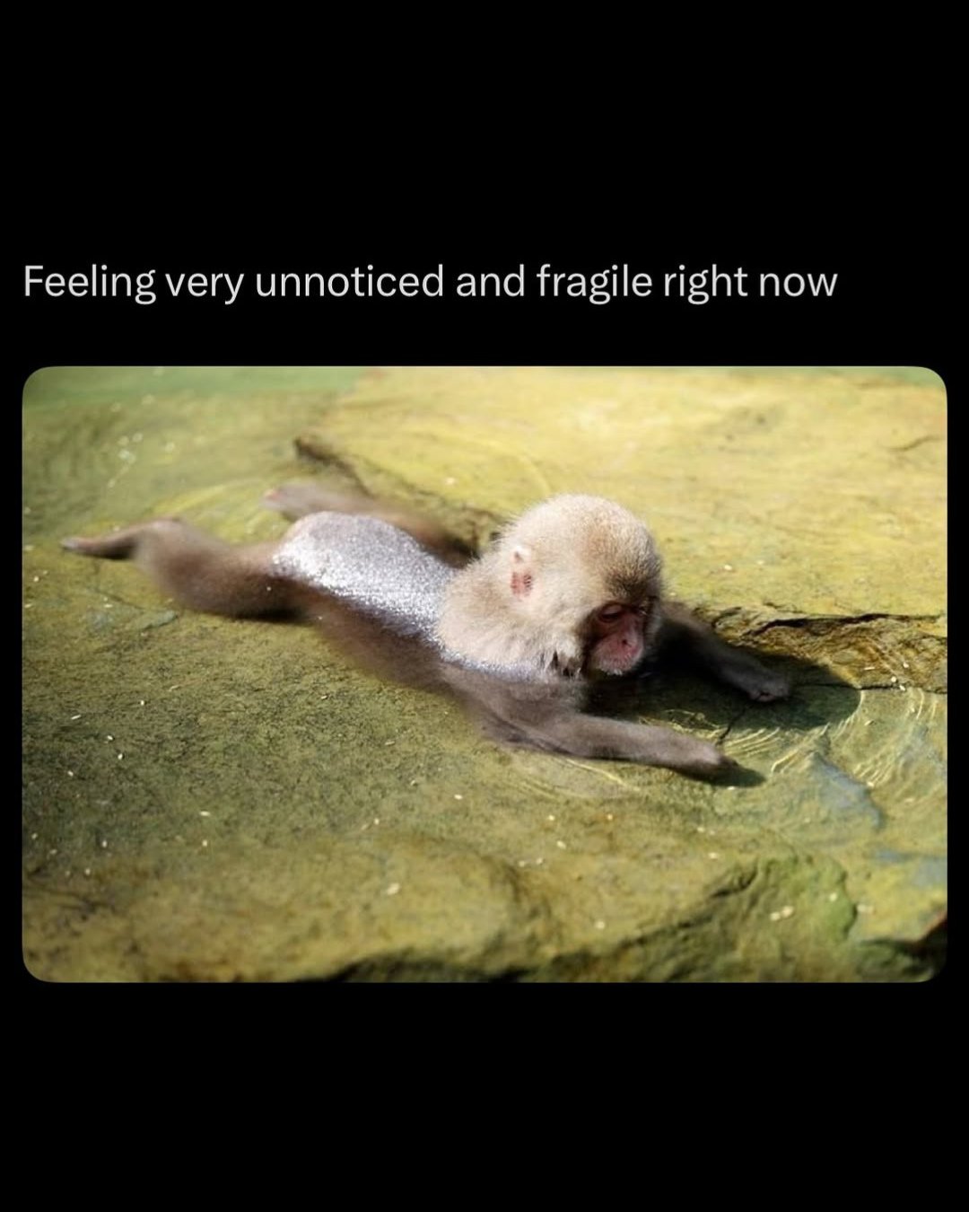 me when I don't get a text back in 5 mins x⁠
⁠
 #shitpostingfornature