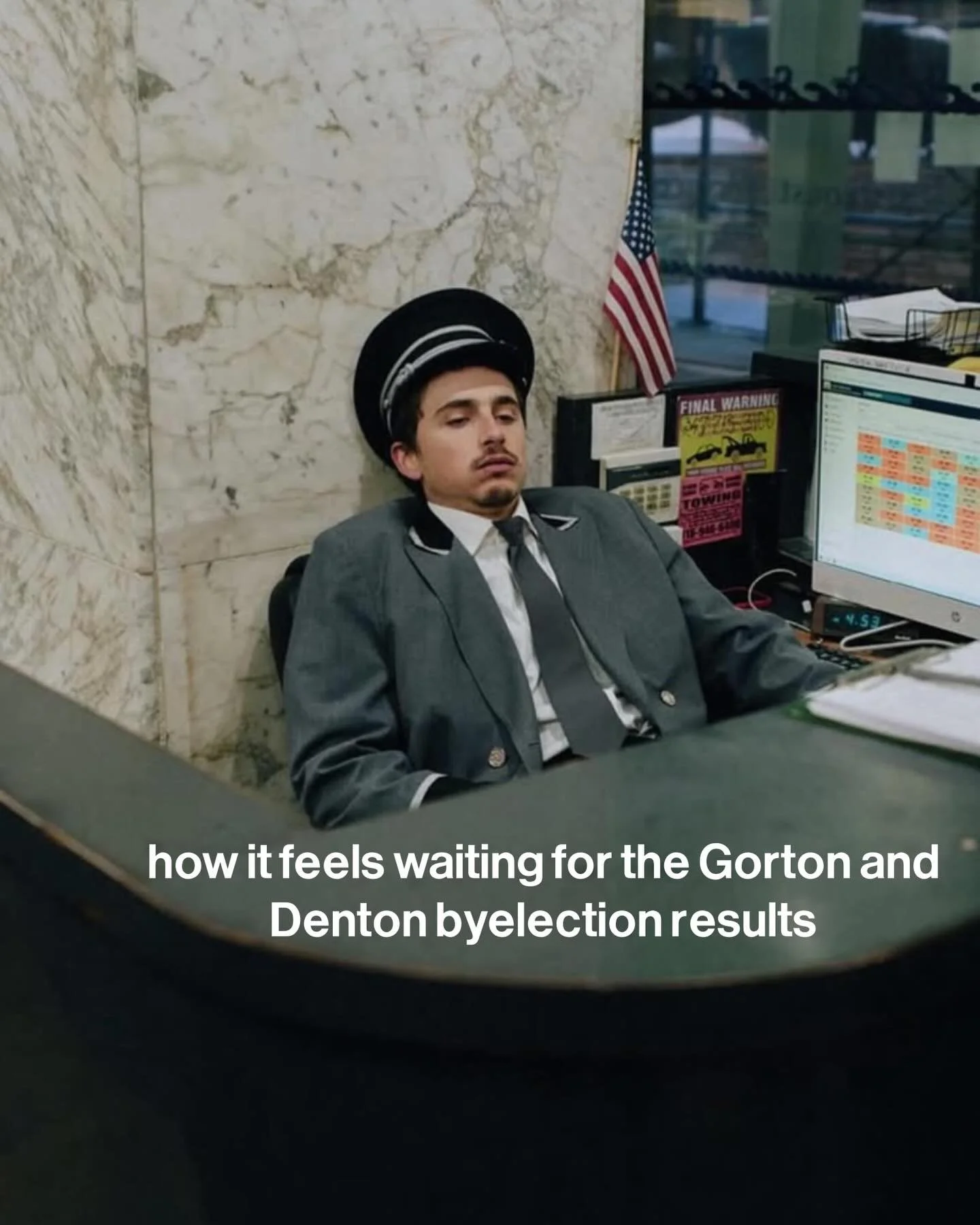 pls let the local plumber lady with the cute greyhounds and green policies win x