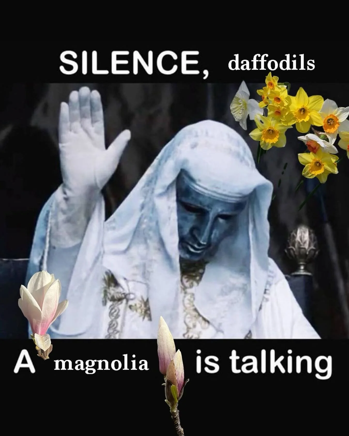 magnolias coming out = walking around London feeling like you&rsquo;re coming up

via @neohmah