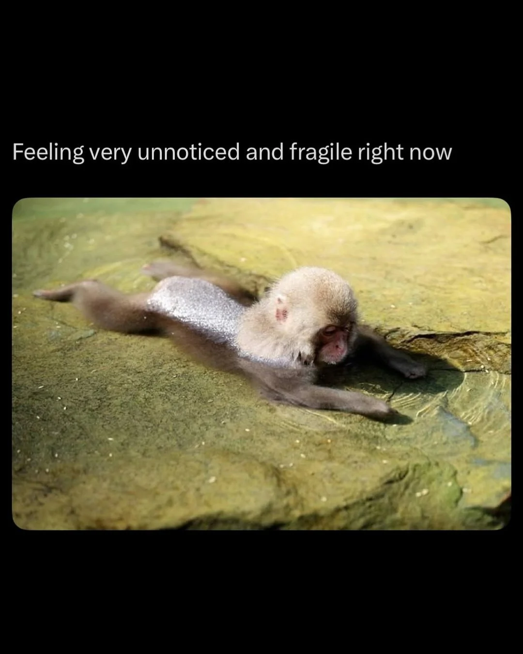 me when I don't get a text back in 5 mins x⁠
⁠
 #shitpostingfornature