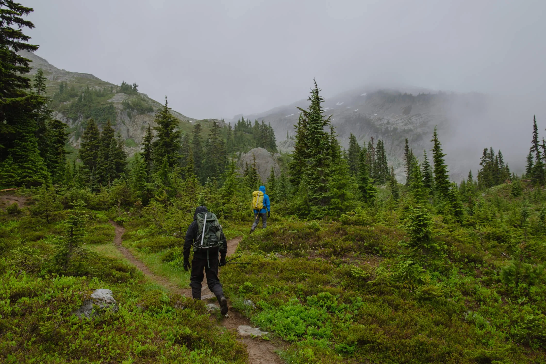 20190727-102651-mt-daniel-hike.jpg