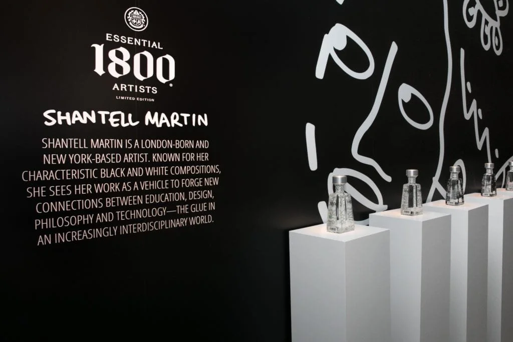 1800_Shantell-Martin_-4-of-36-1024x683.jpg