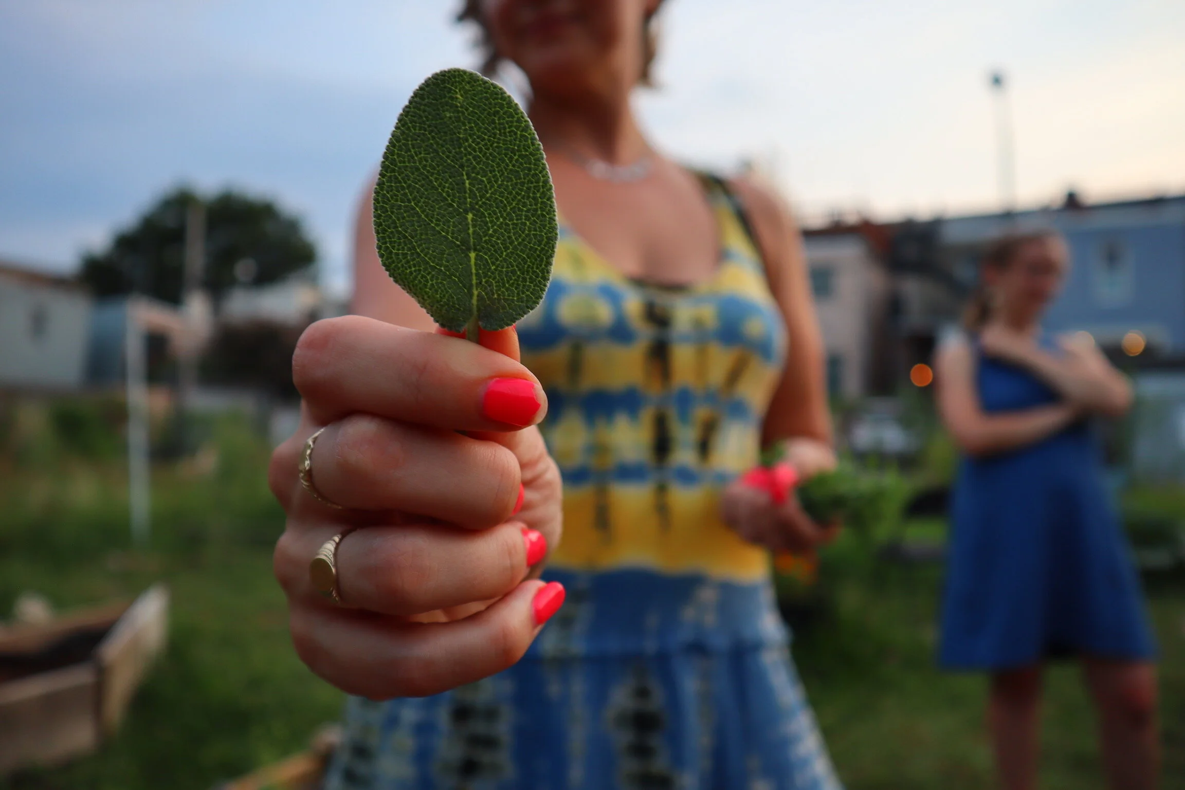 Picnic + Game Night hosted by Marie 