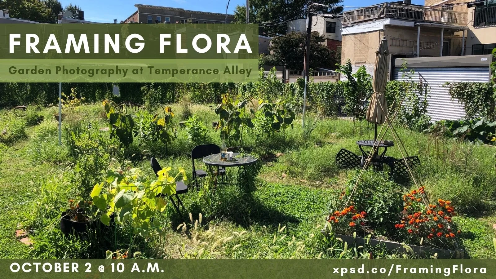 Framing Flora: Garden Photography at Temperance Alley