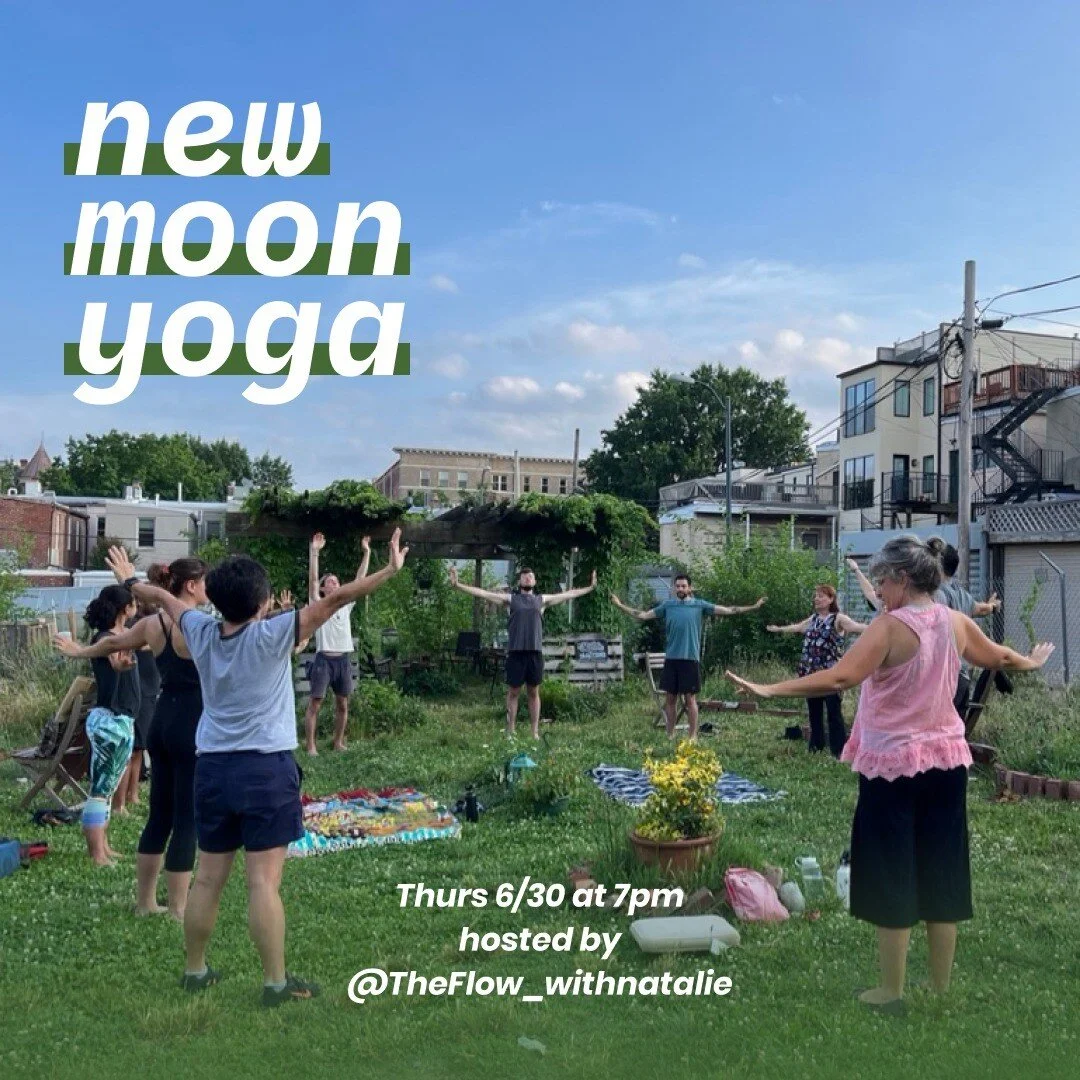 Temperance Alley — U Street Neighborhood Association