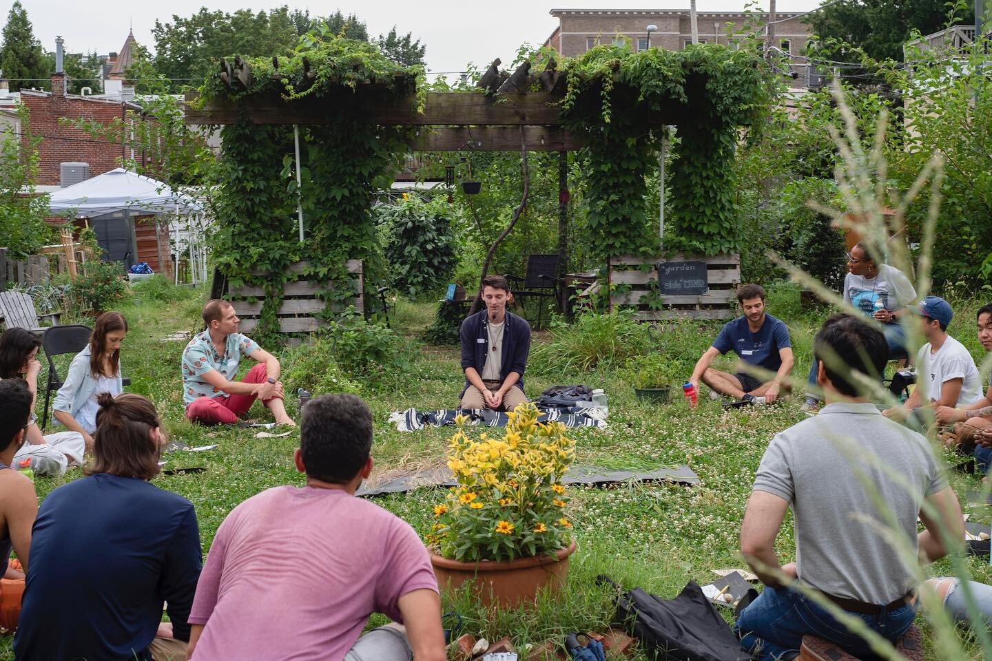 How 2 See a Plant : cohort 1 session 1
A cross between art history, ecology, and meditation
Befriending the grasses in the garden and practicing the art of close observation
The ways of seeing that *precede* naming and taxonomy and 
Help us relate to
