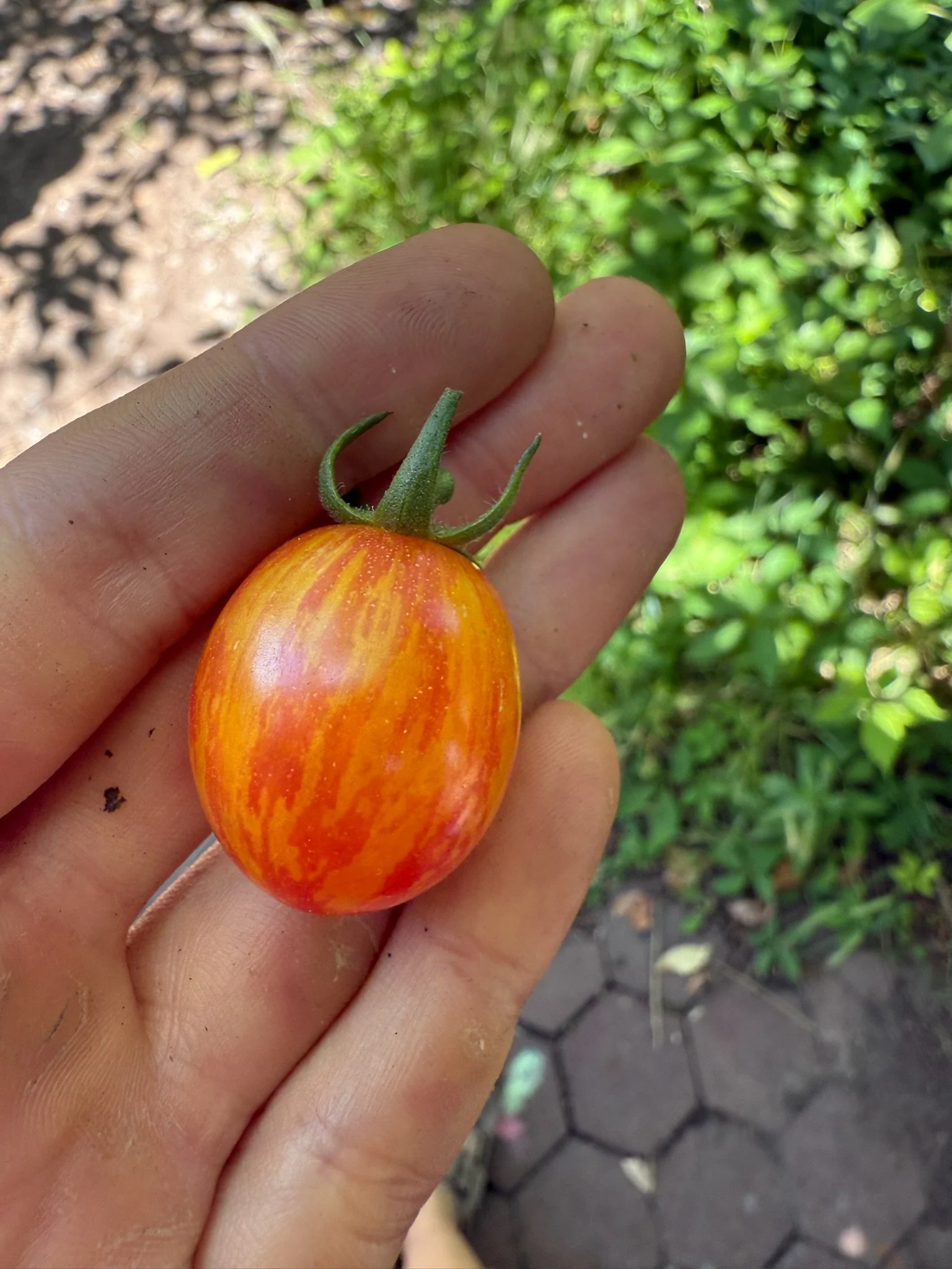 Garden Volunteer Hours