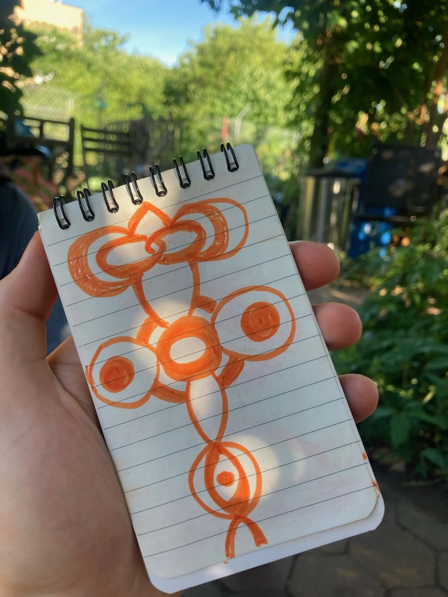 Morning Pages