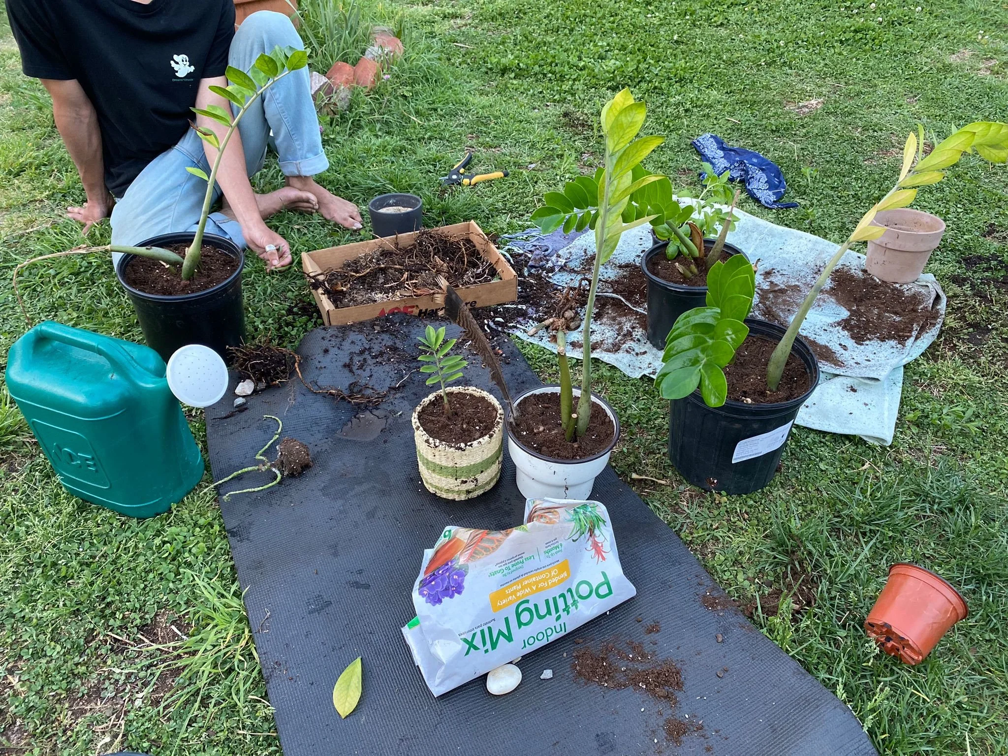 Houseplant Swap &amp; Spring Seed Exchange Extravaganza!