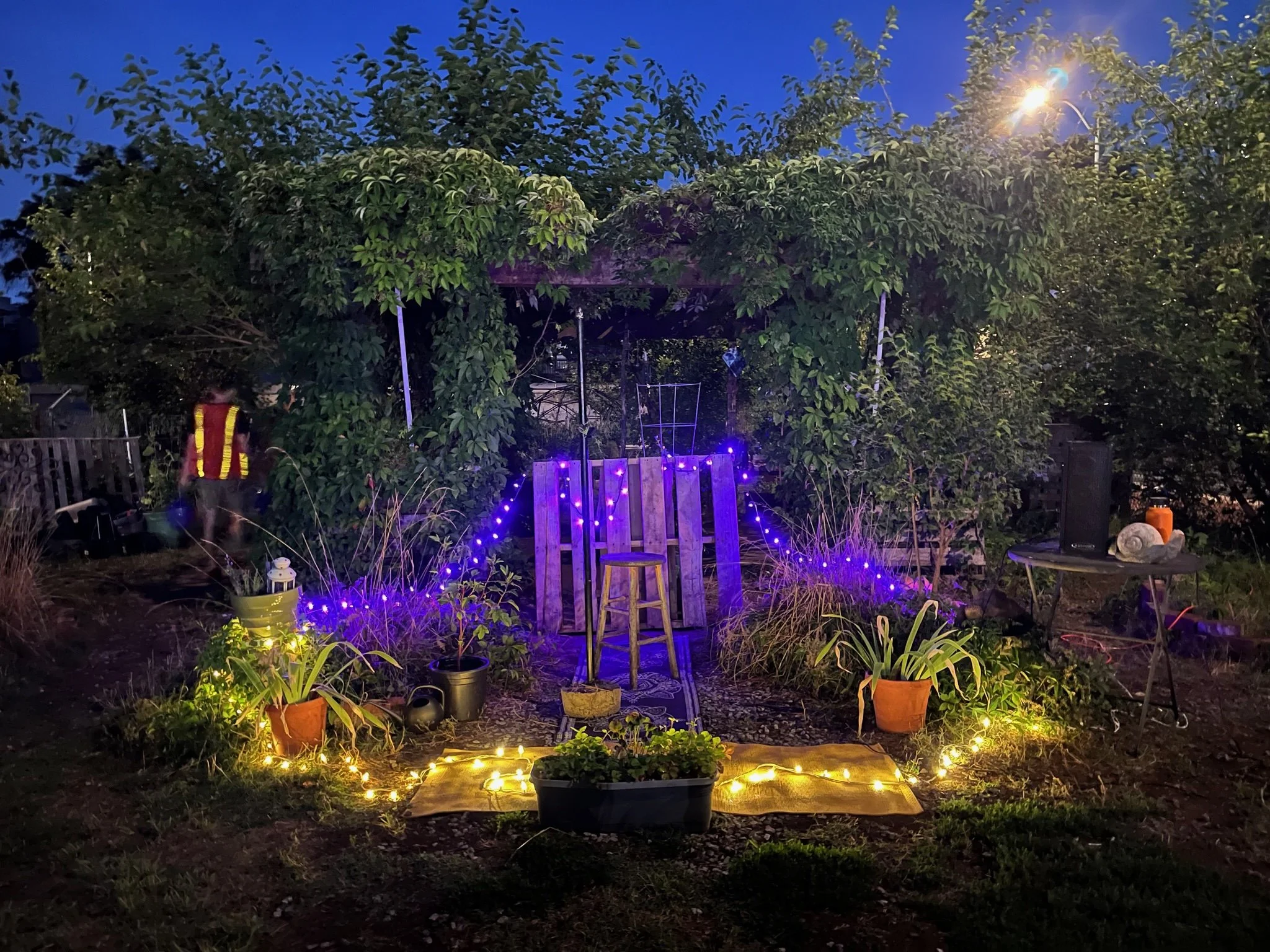 Music in the Garden 🎶