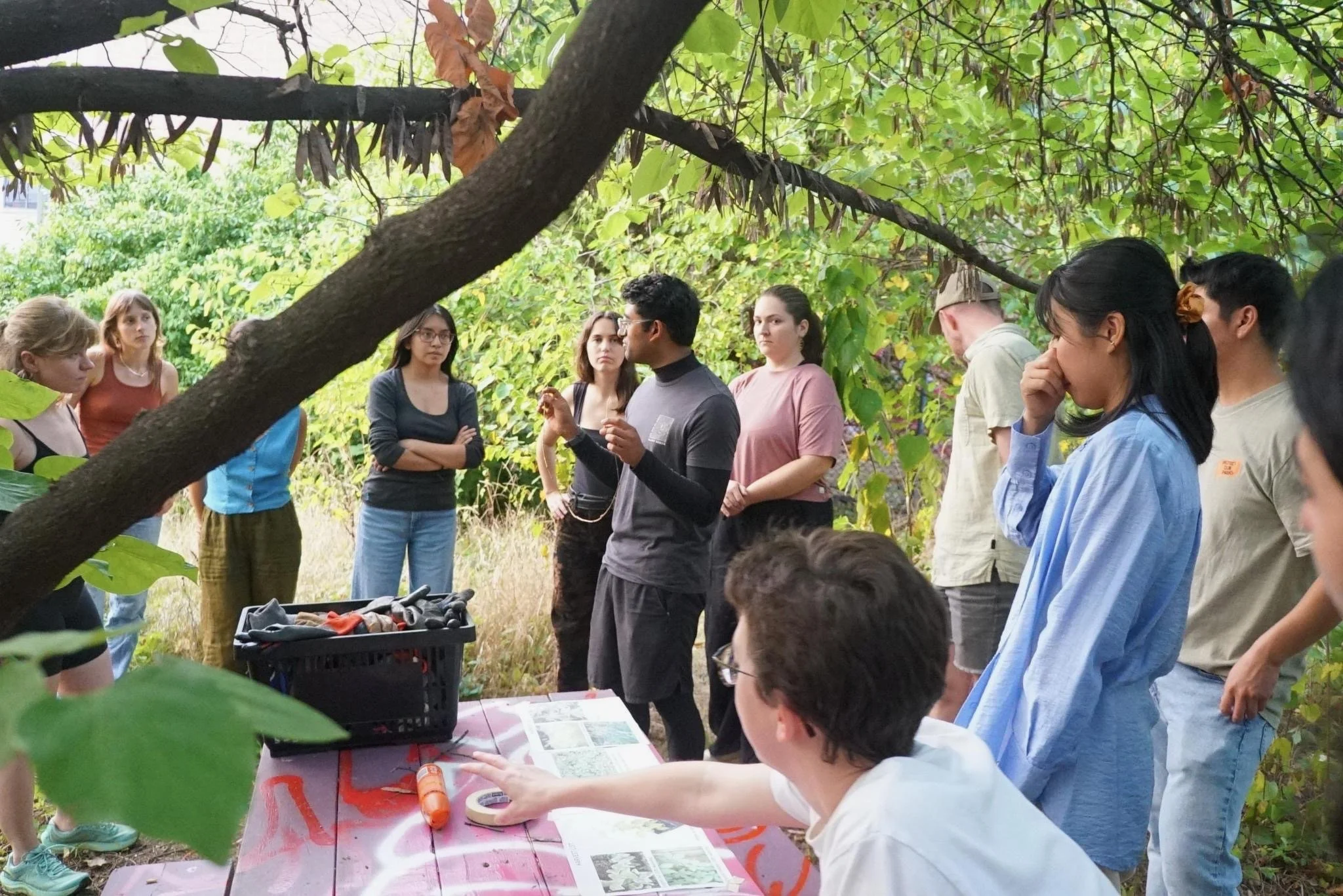 Bringing Ecology Back: 3D Mapping to Rewild a Vacant Lot