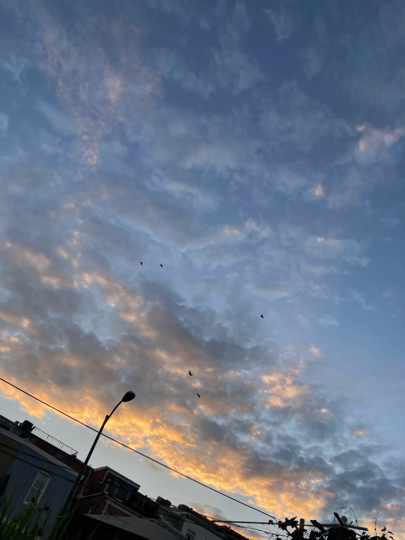 Turmeric Sun Prints &amp; Bird Meditation