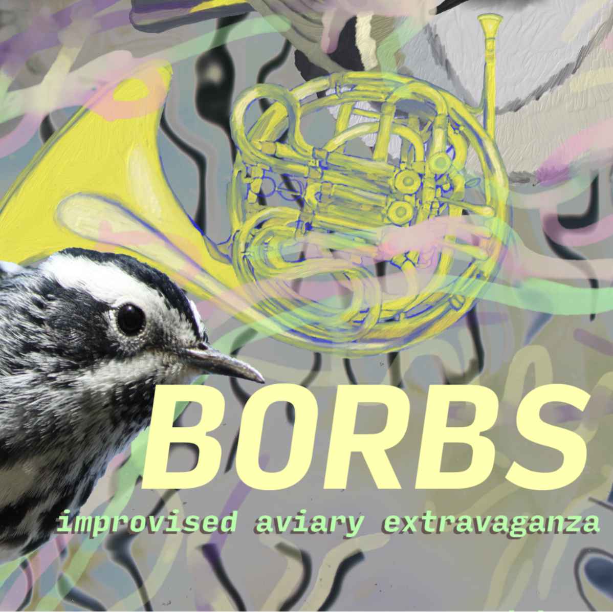 BORBS 🐦 jazz-improv &amp; aviary extravaganza
