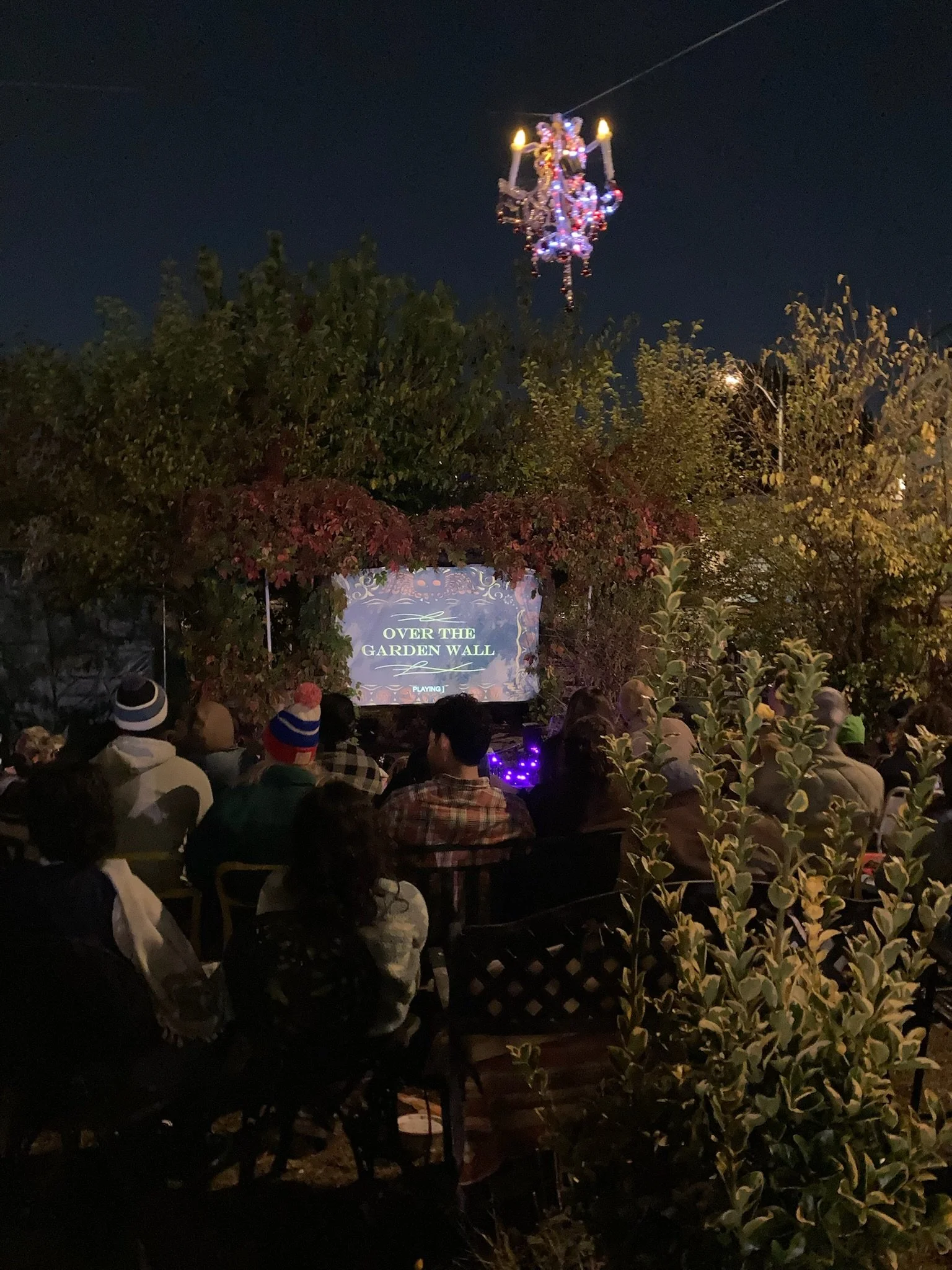 Movie Night