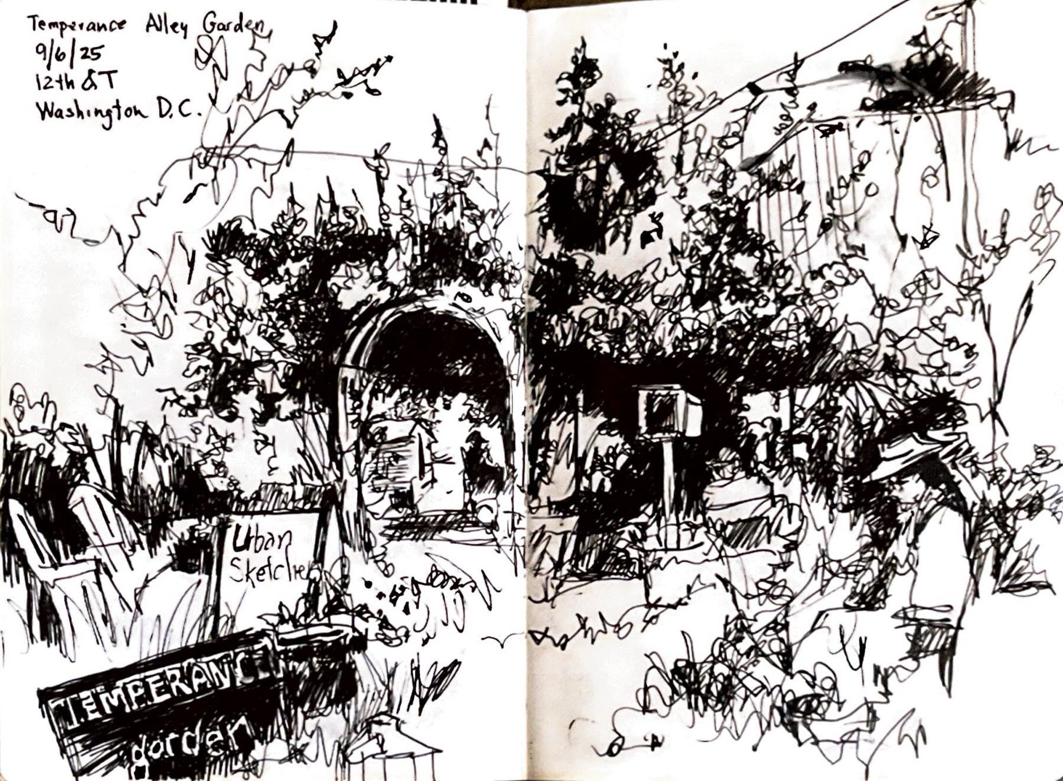 Climate Sketchbook Club