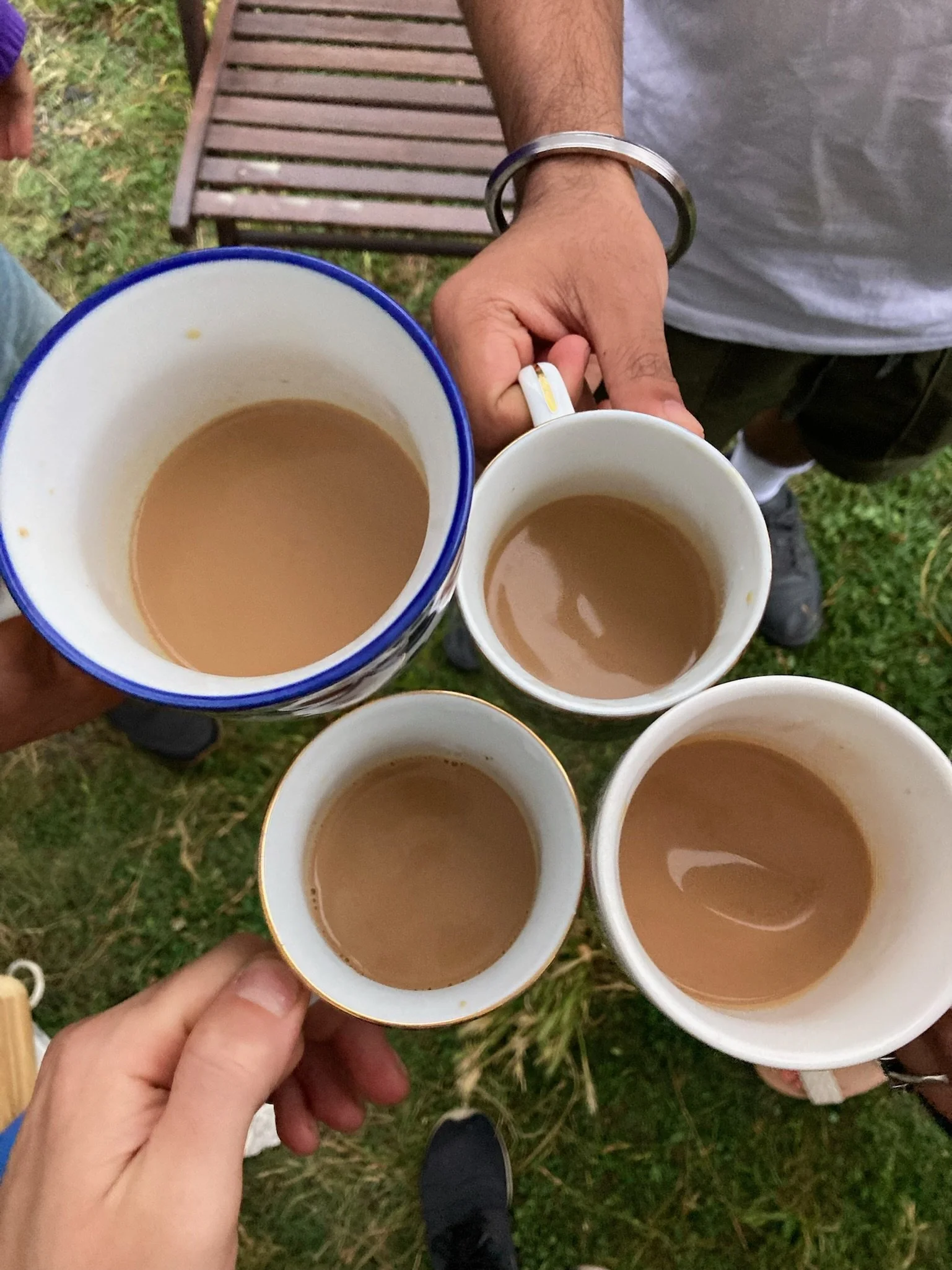 POSTPONED 🌧️ Native Plant Tea Talk and Taste