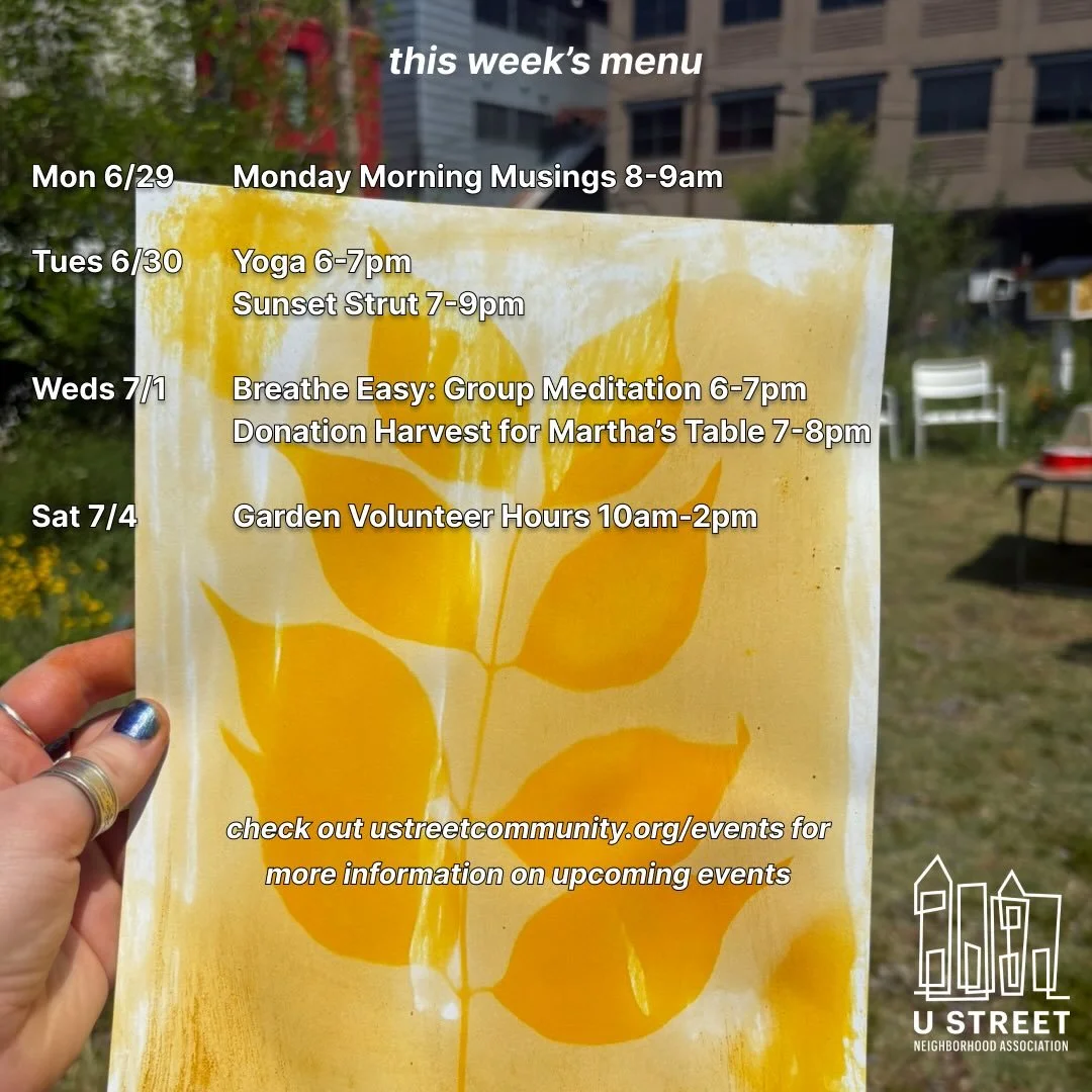 UPDATE: ReConnect: Show &amp; Tell will be Sun 6/5 from 6-8pm // We will soon calendar for July so watch this spaceeeee 🌞🪩🎇