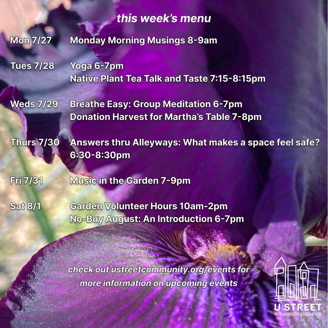 This week&rsquo;s selections for your enjoyment 🧀🫐 Check out the website for more details on events!