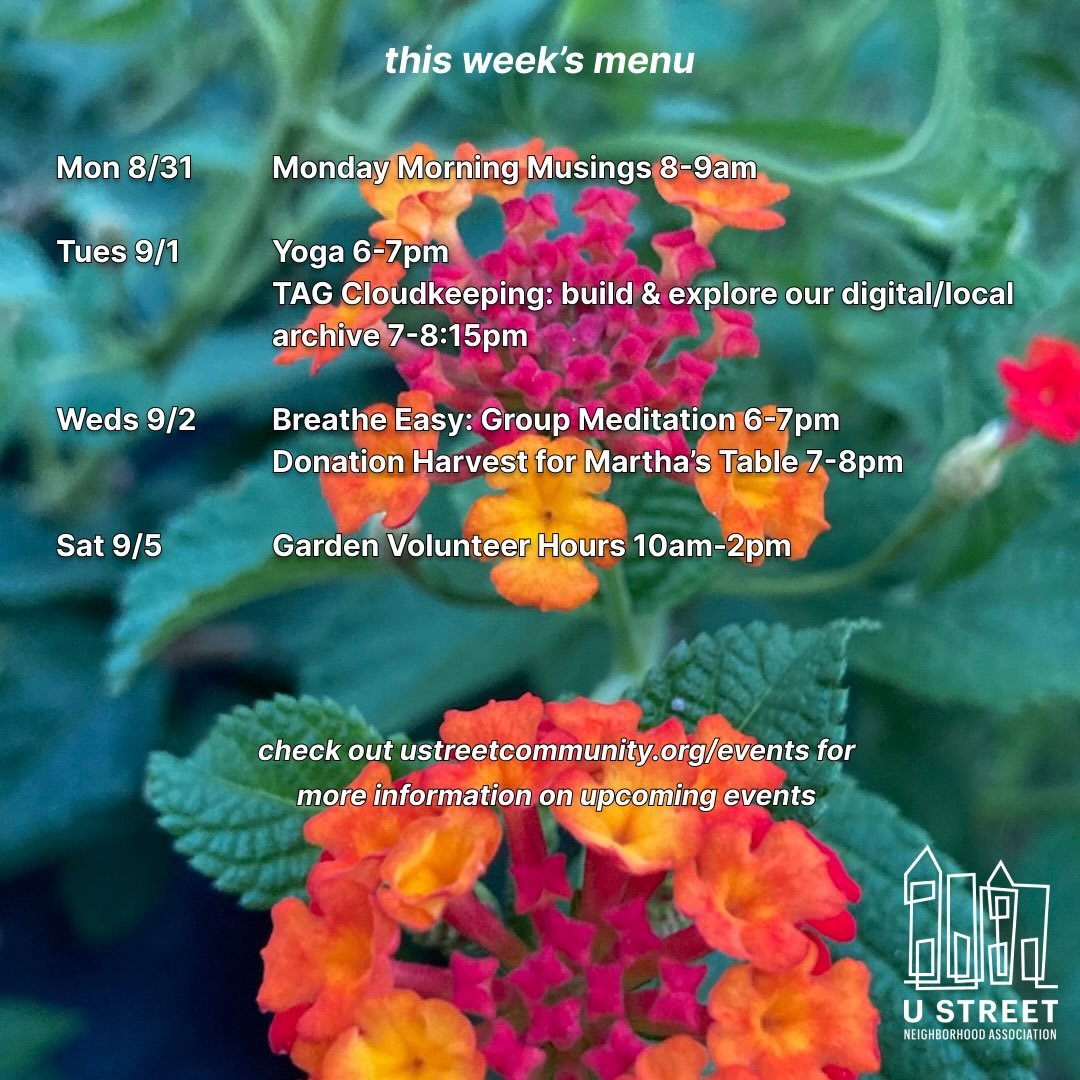 September is peeking at us from around the corner&hellip;which means we will soon have a new calendar full of delicious events 🪁 Stay tuned!