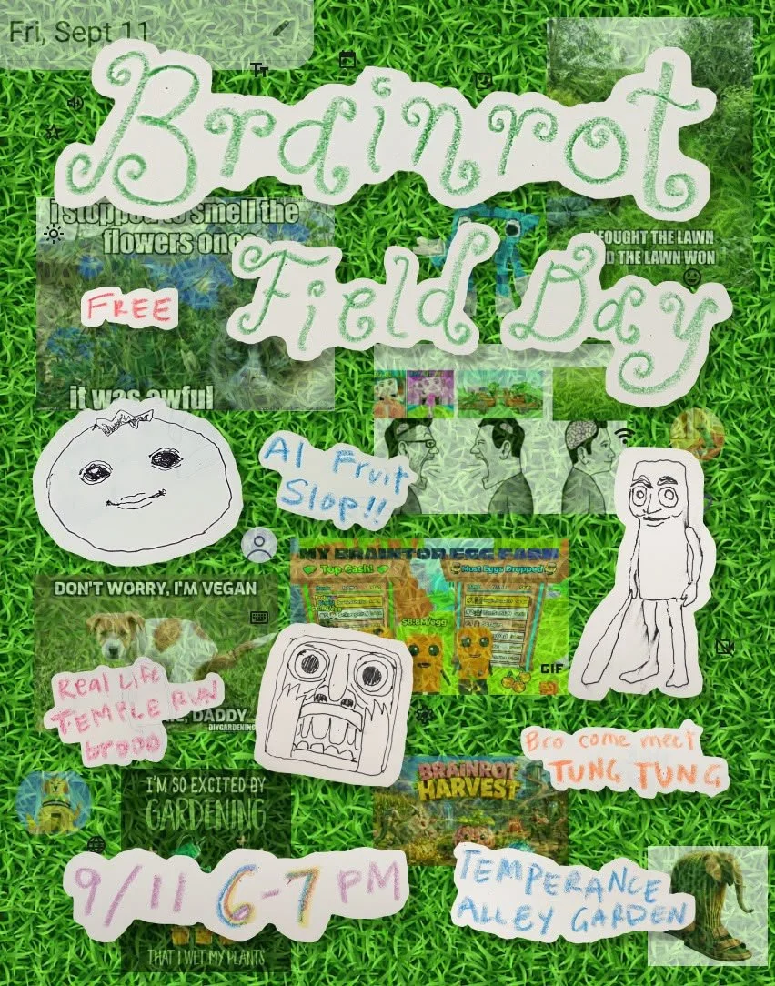 BrainRot Field Day