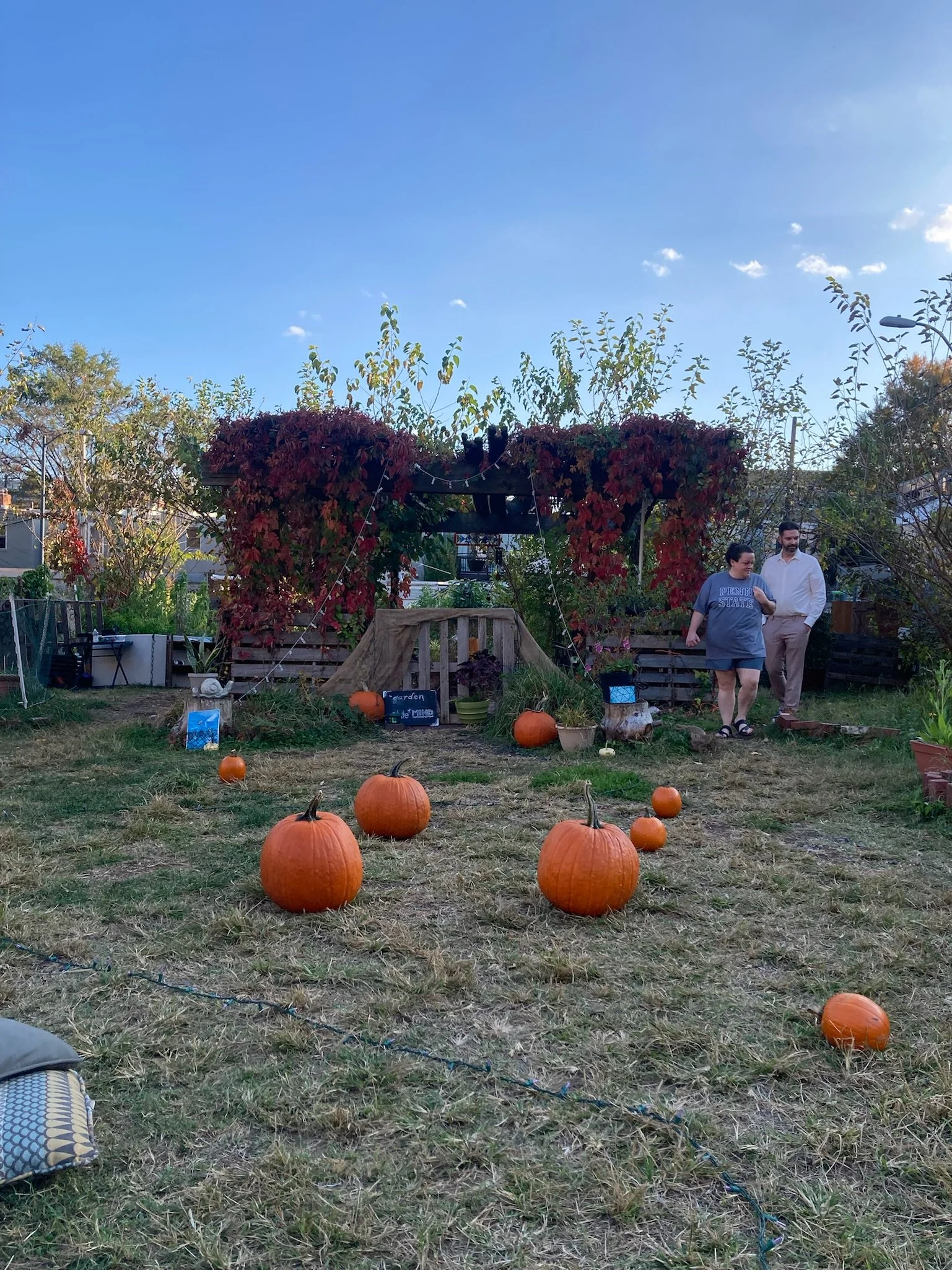 Masked Pumpkin Painting 🎃 with DC Trans Expansive