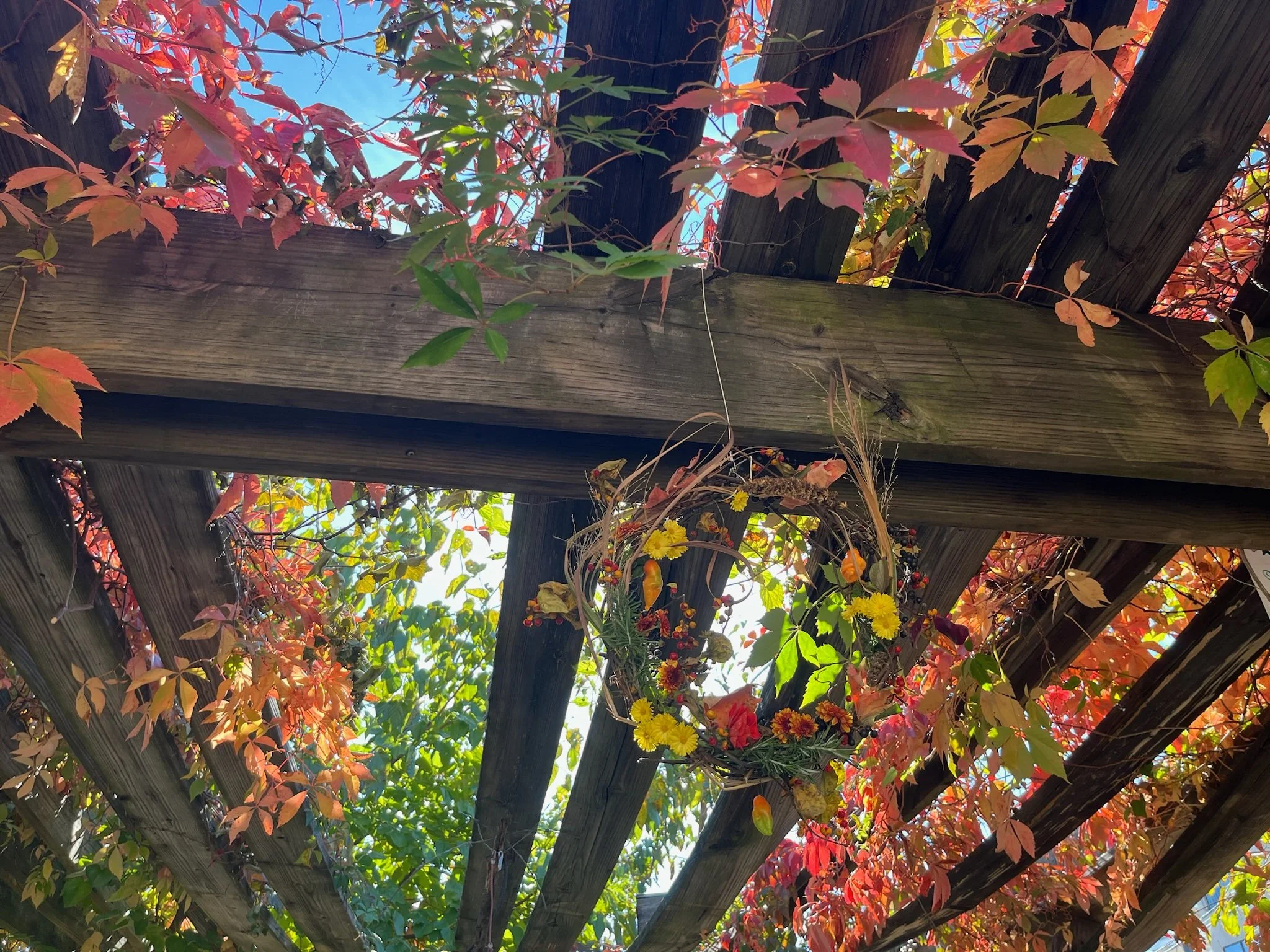Breathe Easy: Group Meditation