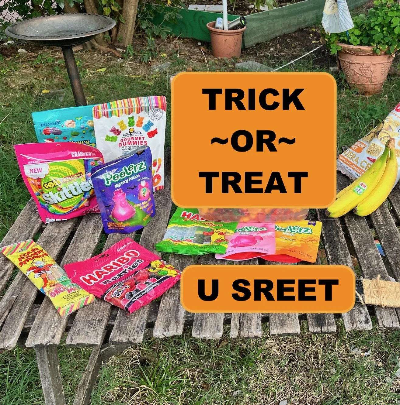 Trick-or-Treating 🍬 in the U Street Neighborhood