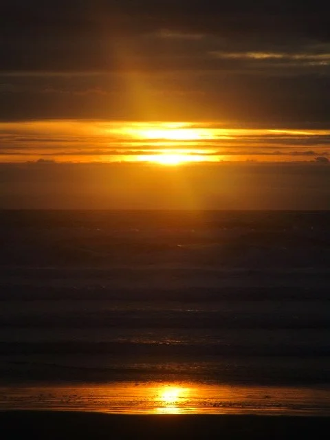 Stay Gold - Marina Tortorelli