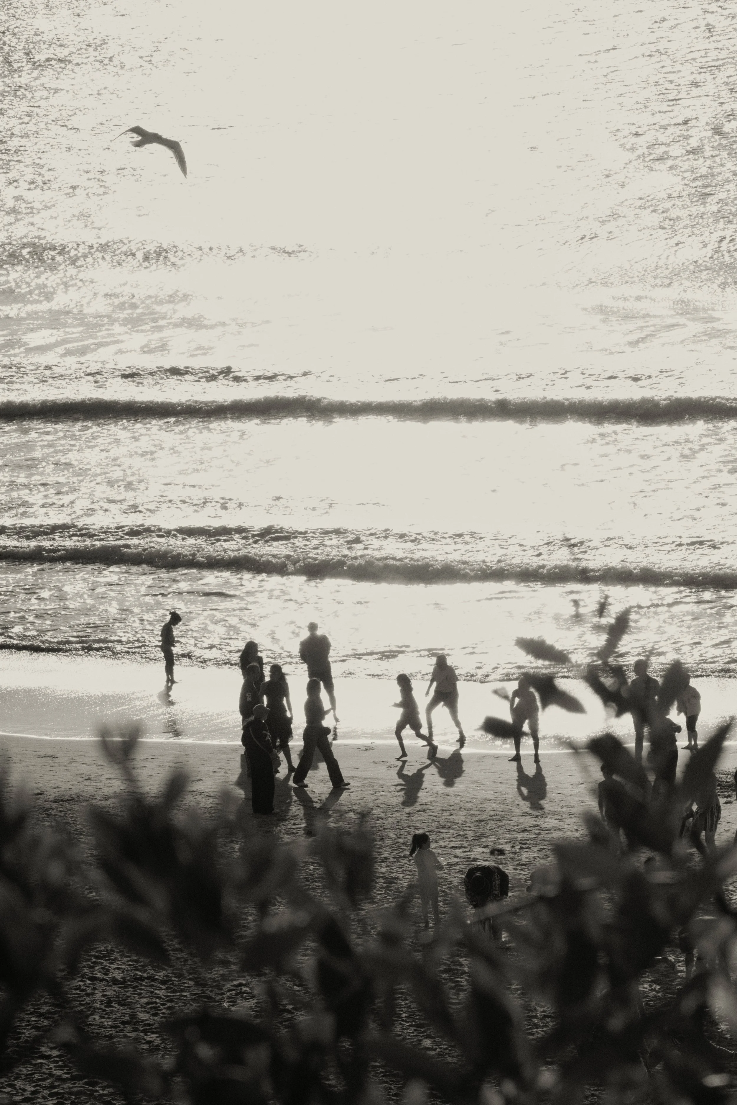 A Dazed Memory - Kalia Lao