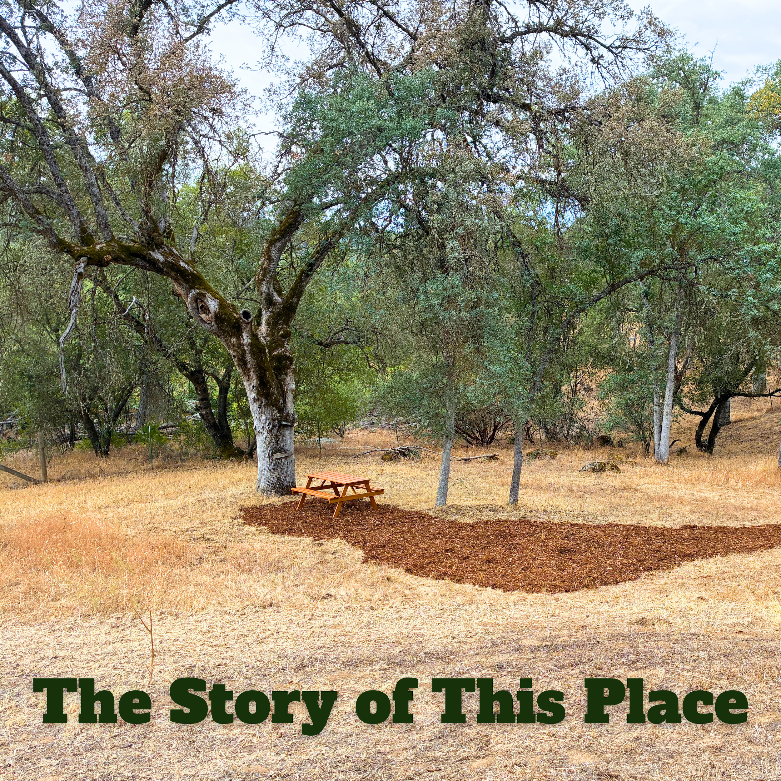 The Story of This Place