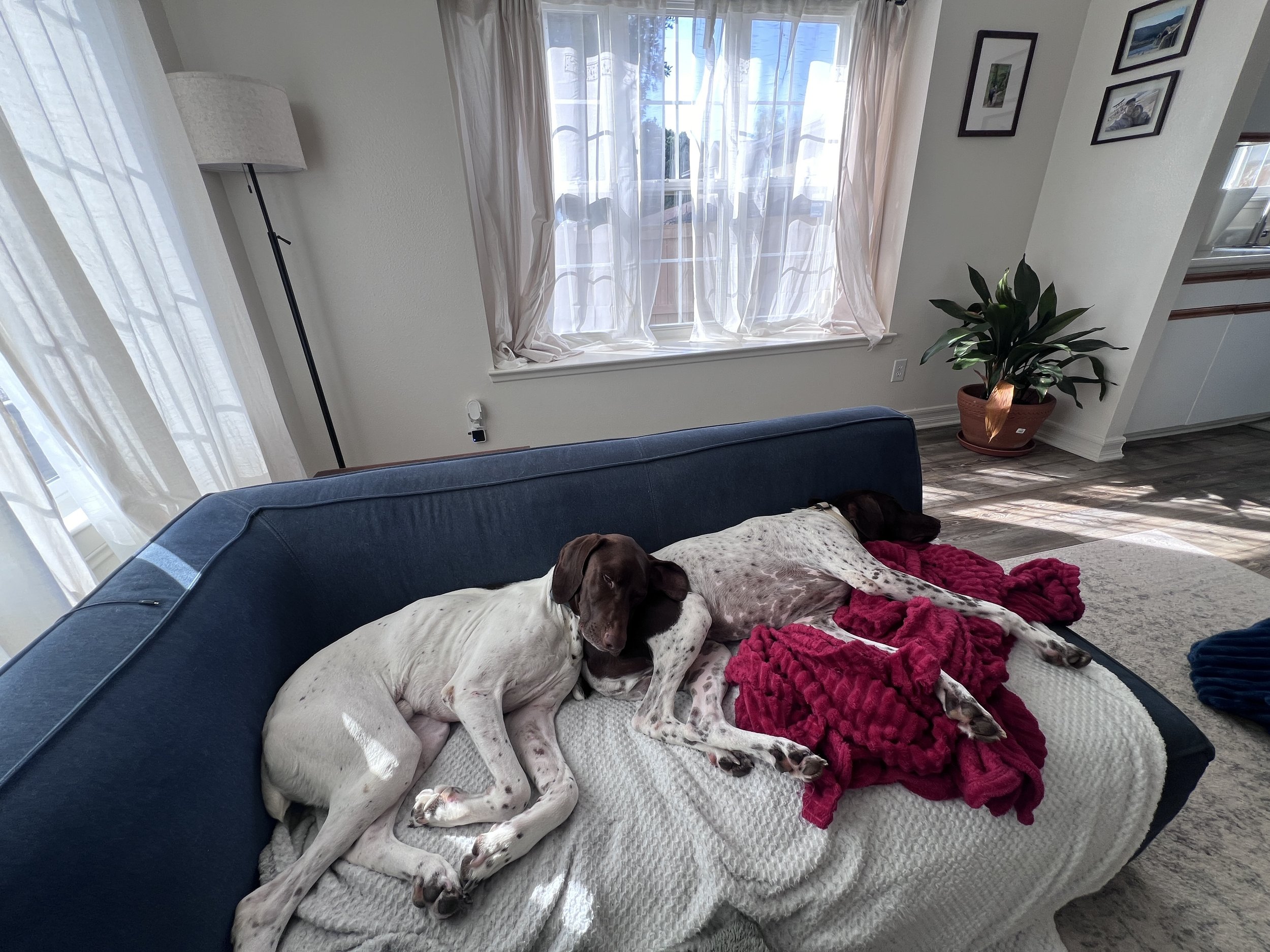 IMG_5700.JPEG