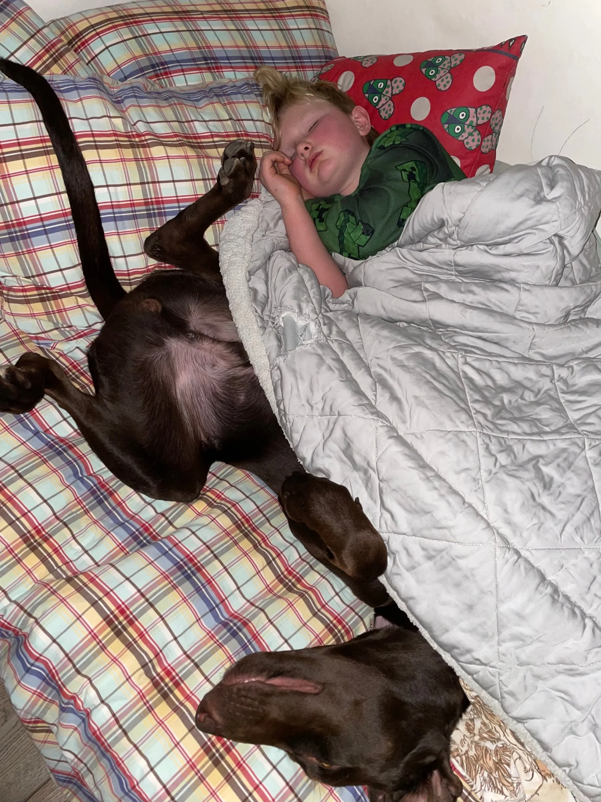 image2 (16) (1).jpeg