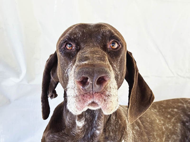 One Day, One Decision, One Life Saved: Kaiser’s Rescue