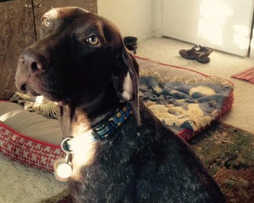 In Loving Memory Of Hazel