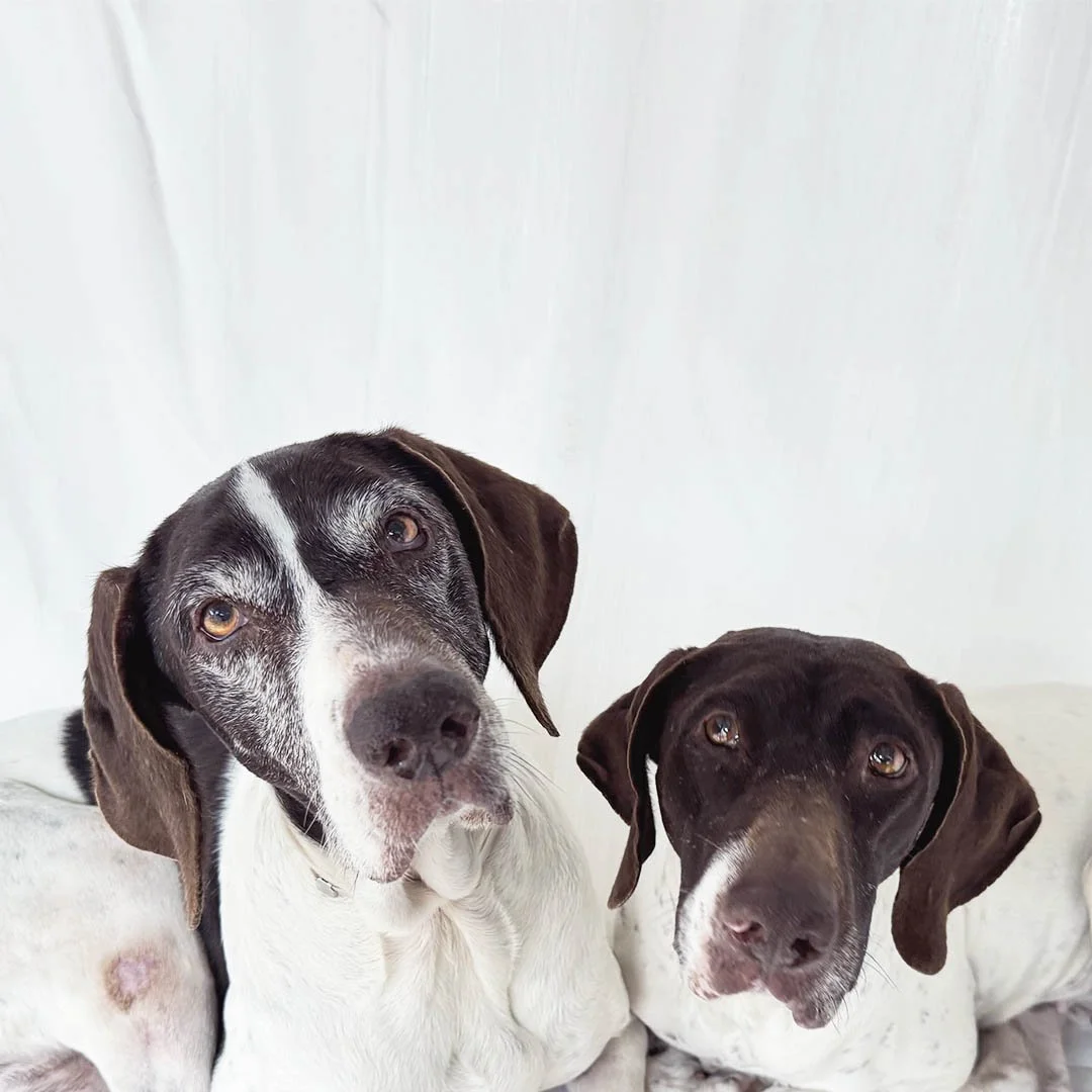 Corazon Tezoro IMG_2611bw108.jpg