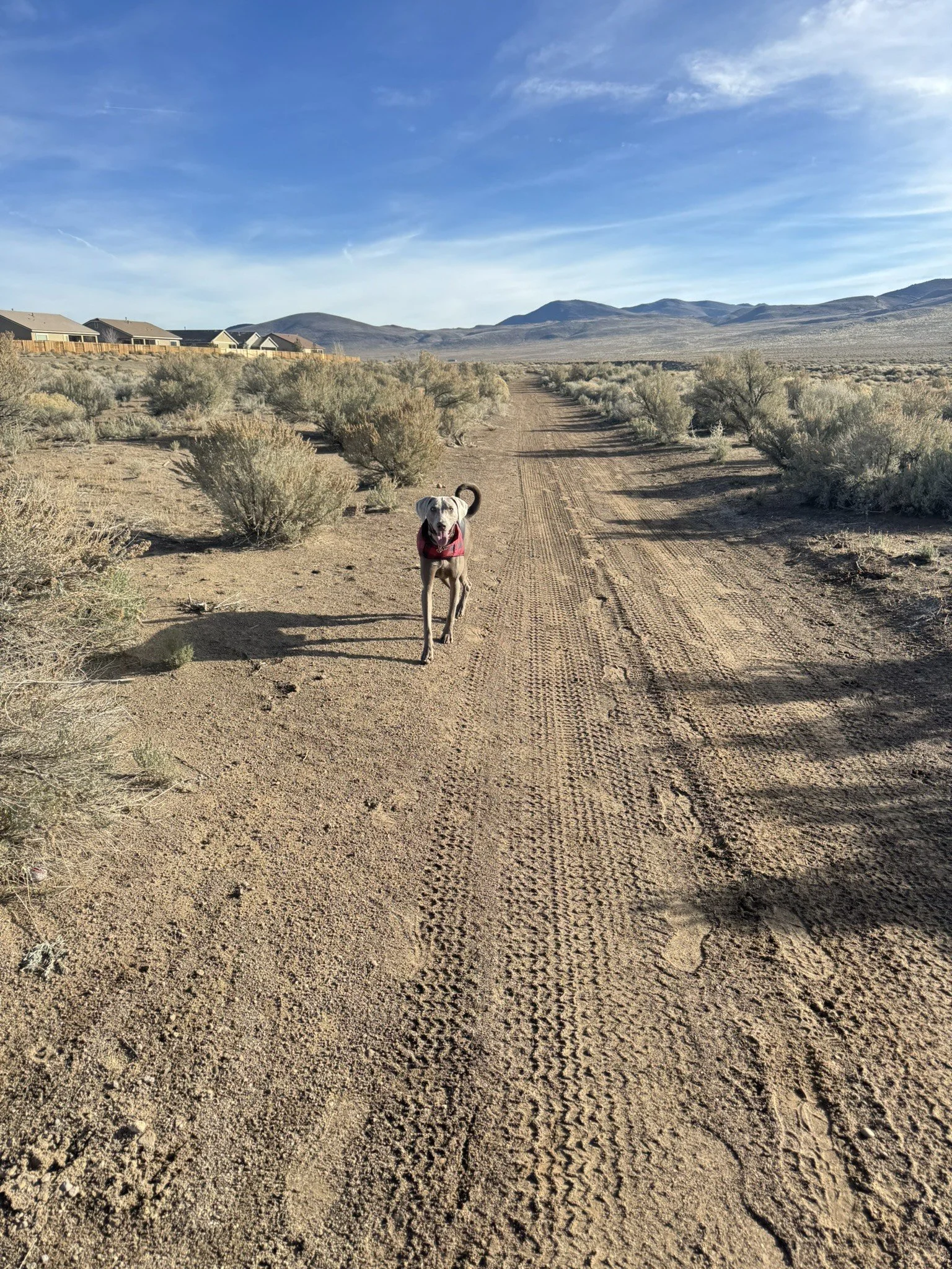 image_123650291 (3).JPG