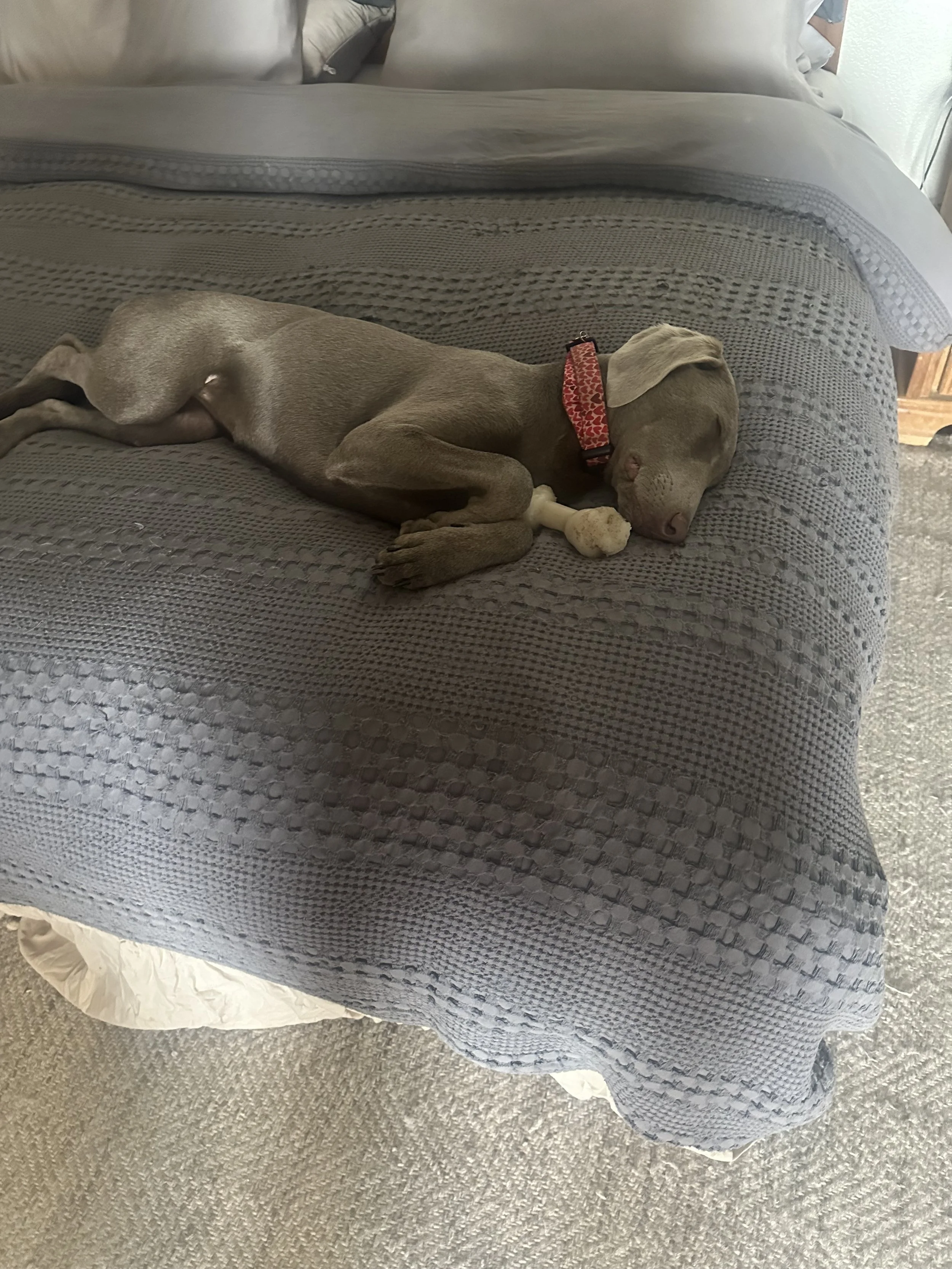 image3 (10) (1).jpeg