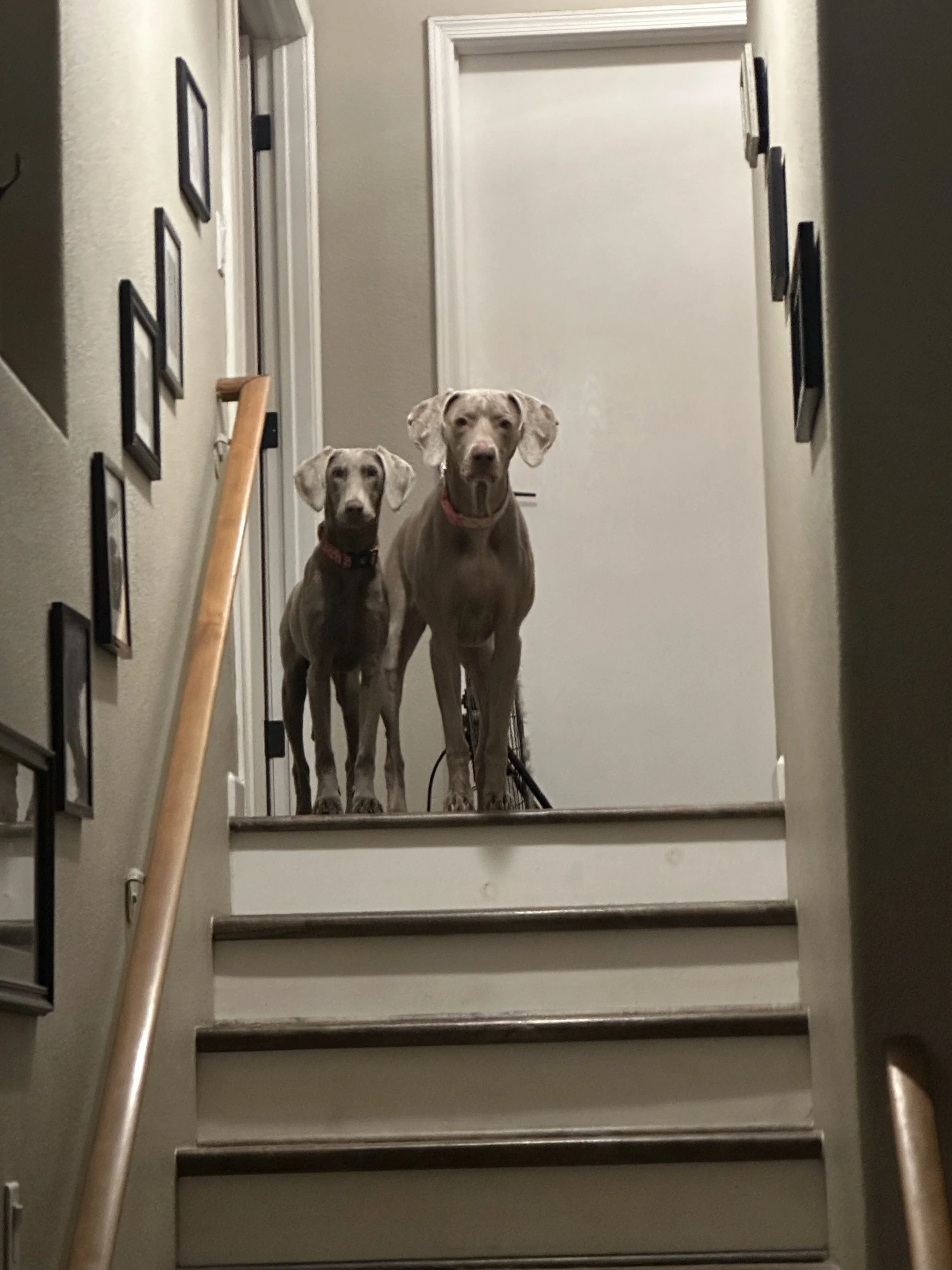 image2 (17) (1).jpeg