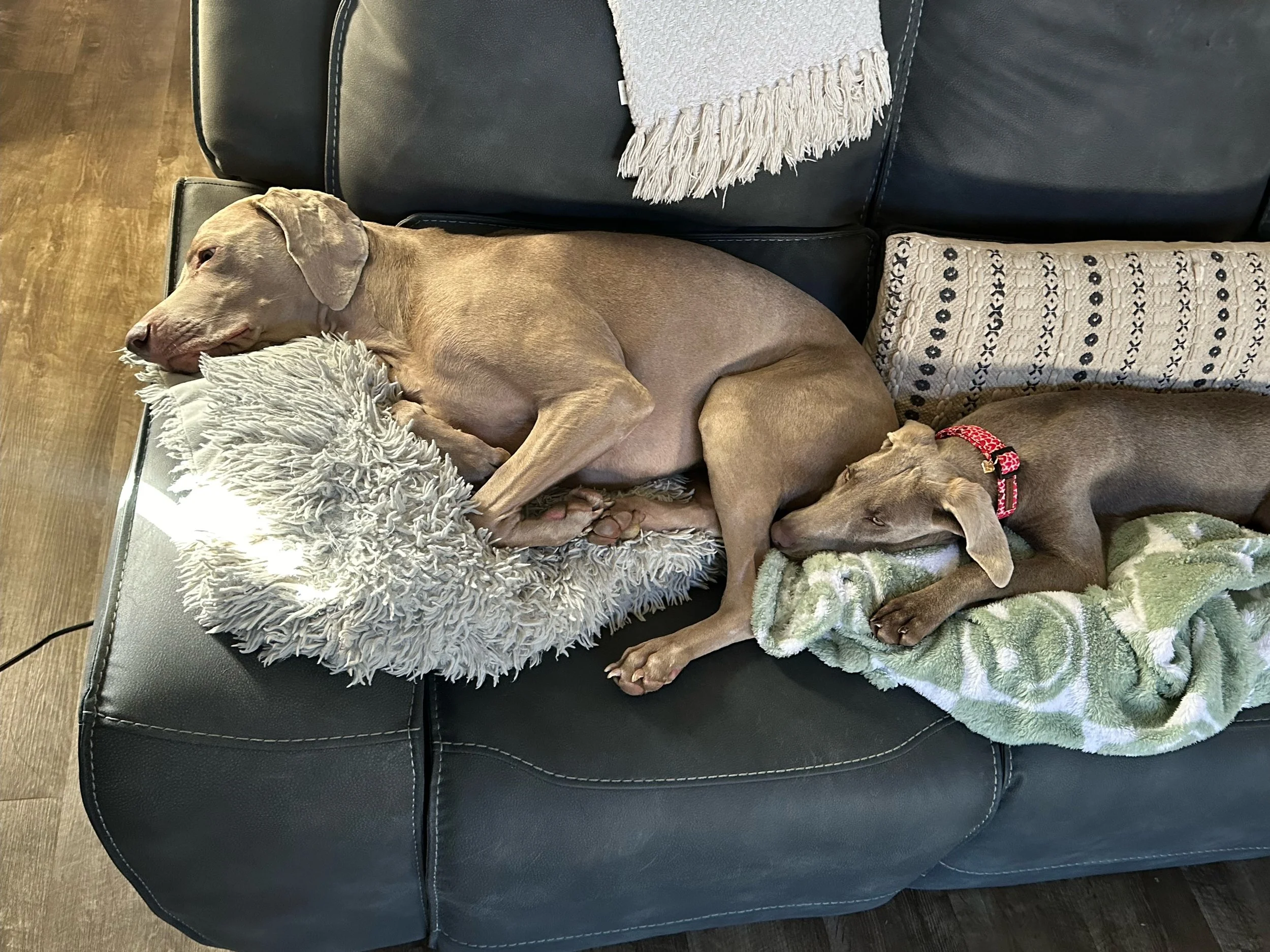 image2 (12) (1).jpeg