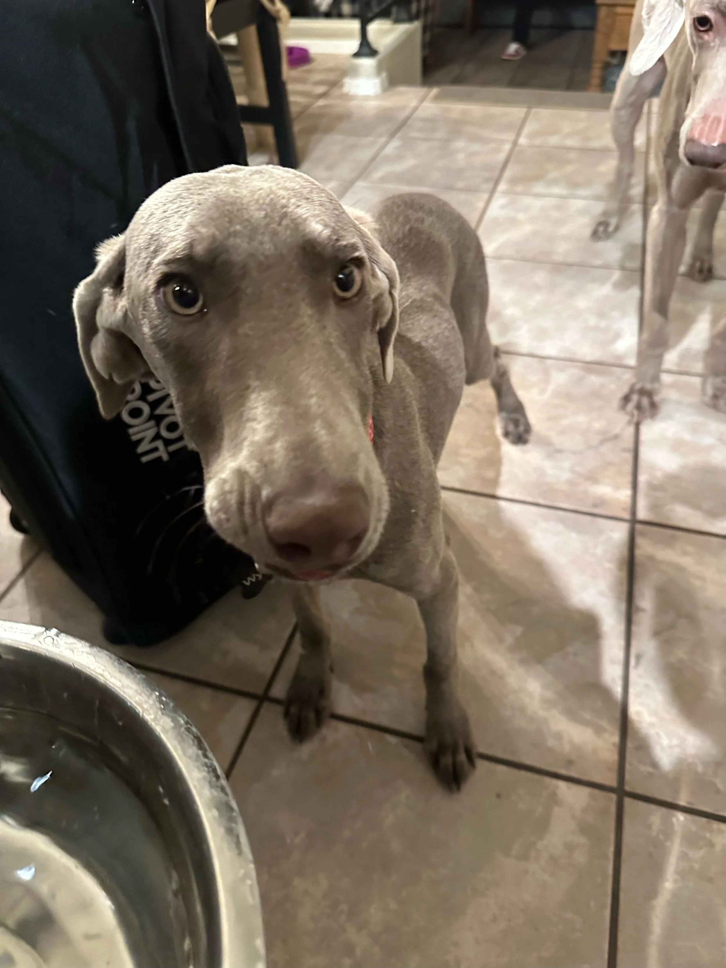 image1 (11) (1).jpeg