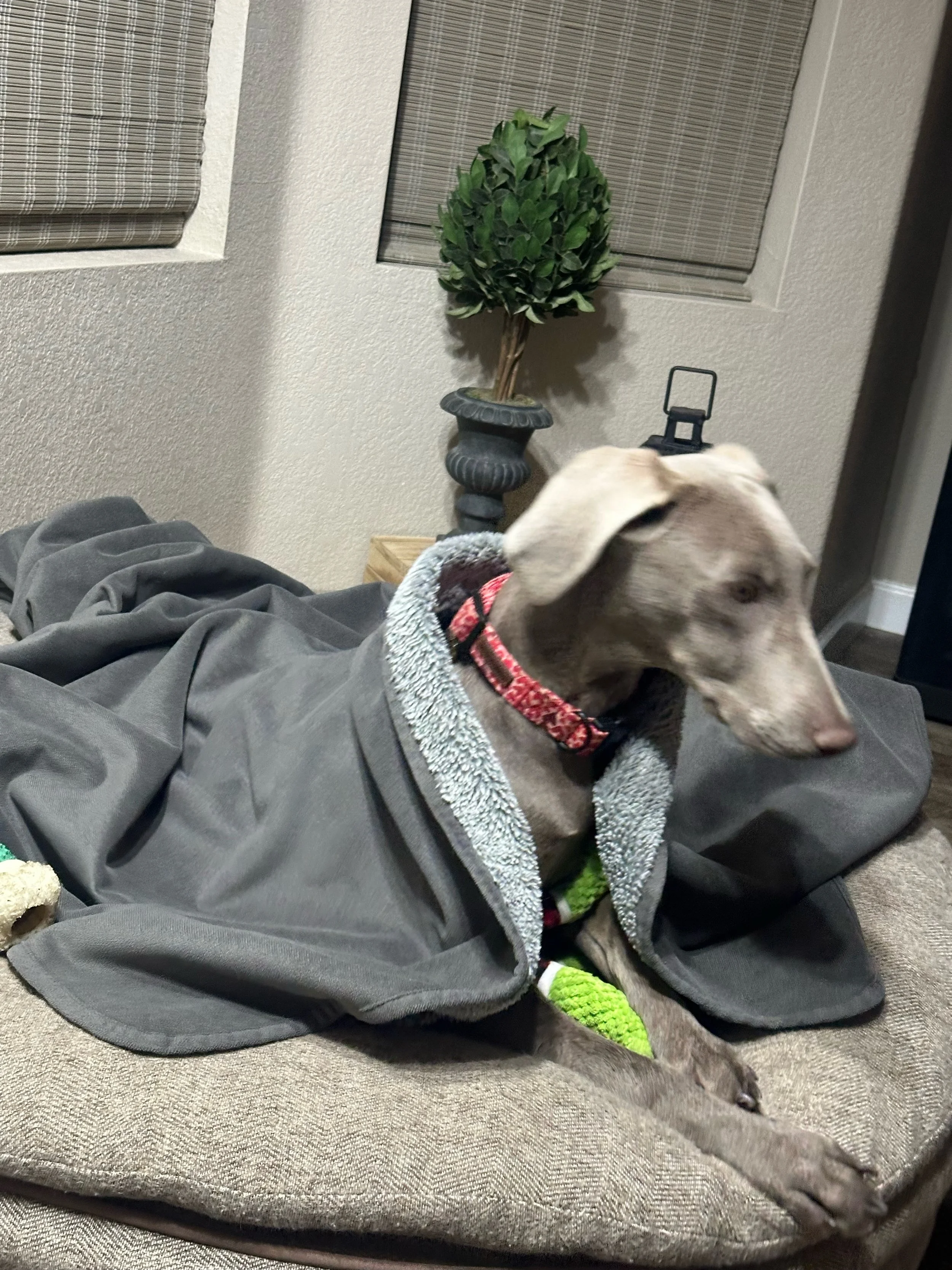 image1 (10) (1).jpeg