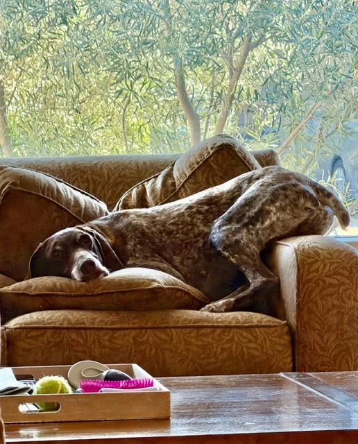 image3 (18) (1).jpeg