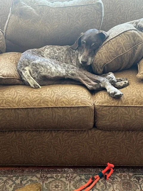 image2 (21) (1).jpeg