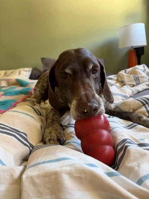 image1 (31) (1).jpeg