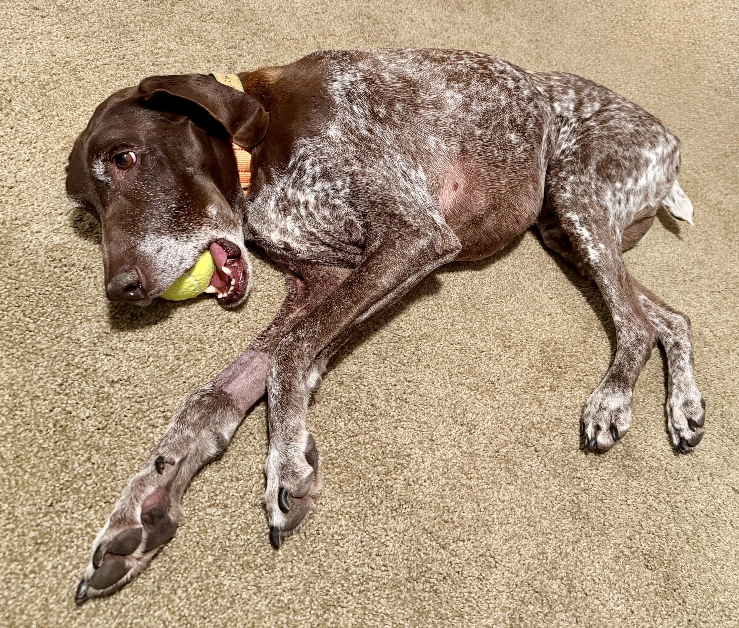 image2 (26) (1).jpeg