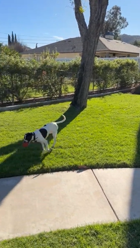 Screenshot 2026-03-11 100811.png