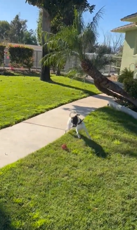 Screenshot 2026-03-11 100511.png