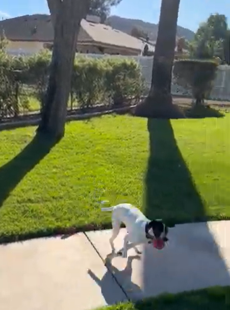 Screenshot 2026-03-11 100334.png