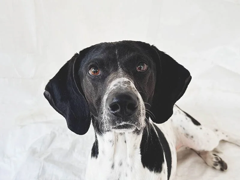 What if just 30 minutes a day could change two lives forever?