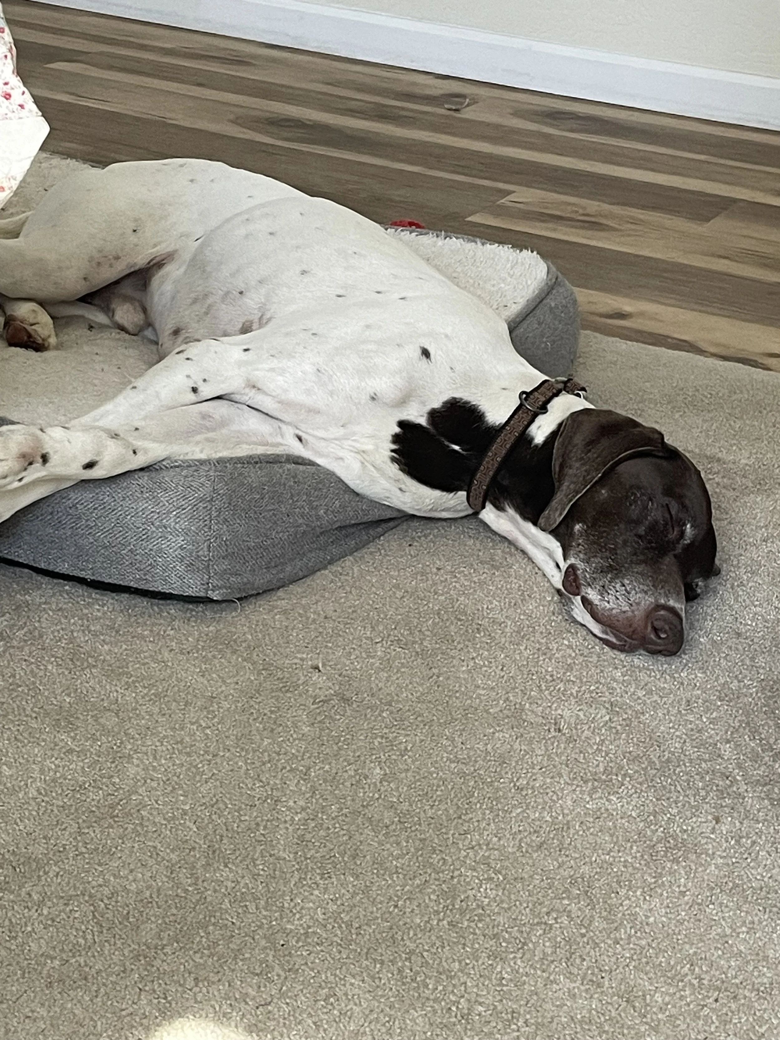 image2 (27) (1).jpeg